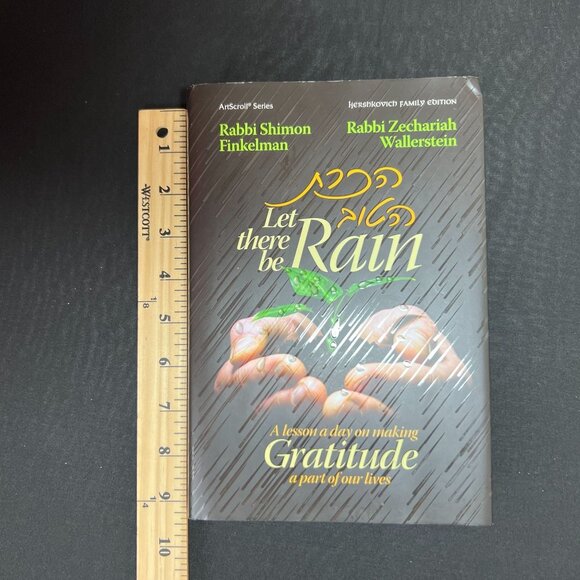 Let There Be Rain A Lesson A Day On Making Gratitude A Part Of Our Lives - Picture 7 of 10